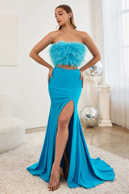 Two Piece Dress with Feather Top and Stretch Jersey Skirt