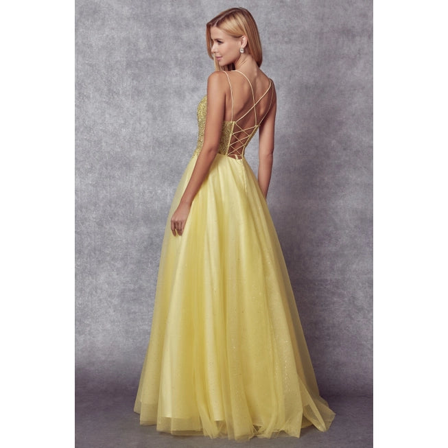 Embroidered Sparkle Tulle and Stones Accents Prom Ball Gown