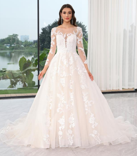 Denise Princess Wedding Gown with Long Lace Sleeves and Glitter Tulle.