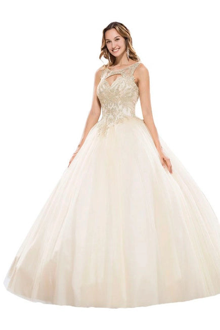 Anny Lee Sparkling Corset Ball Gown
